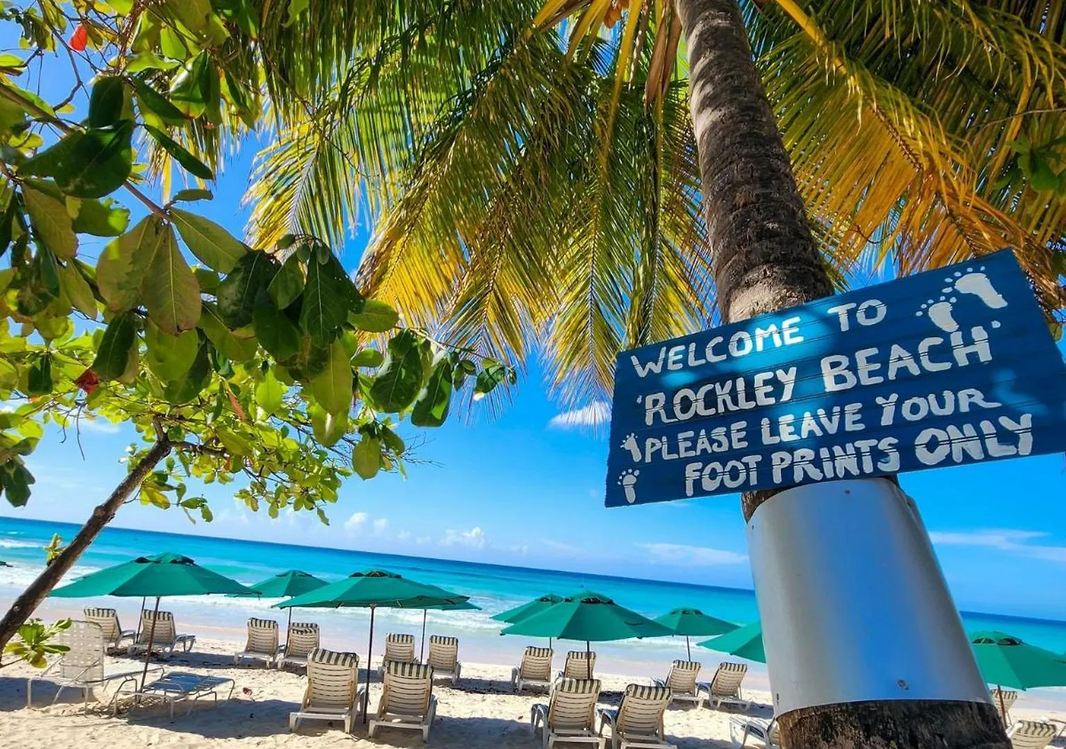 Blue Horizon Hotel Rockley 3*,  Barbados